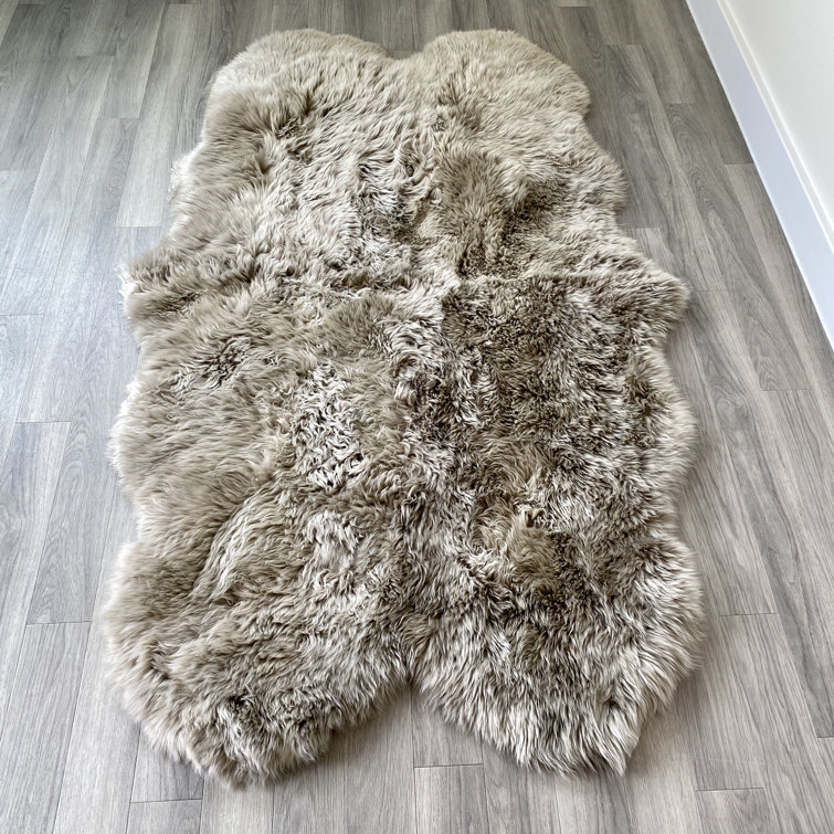 Canora Grey Quad Mink Coloured Sheepskin Rug Wayfair.co.uk